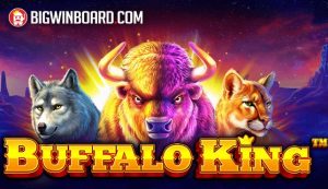 Buffalo_King